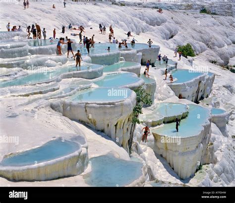Turkipools .